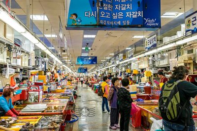 Jagalchi Market, Pasar Dengan Beragam Hidangan Laut yang Ramah Bagi  Wisatawan Muslim – KoreanIndo