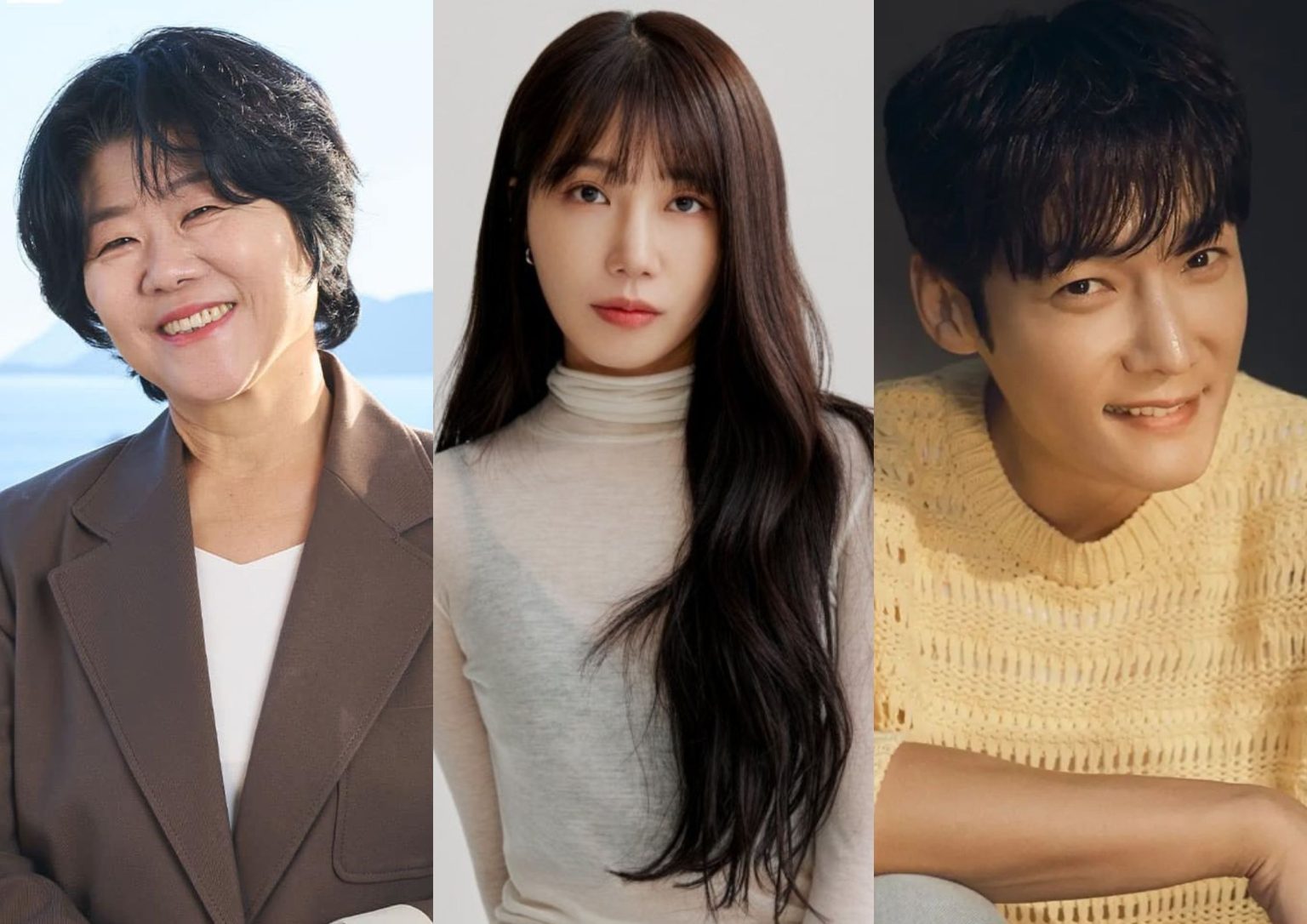 Lee Jung Eun, Jung Eun Ji, dan Choi Jin Hyuk Akan Membintangi Drama ...